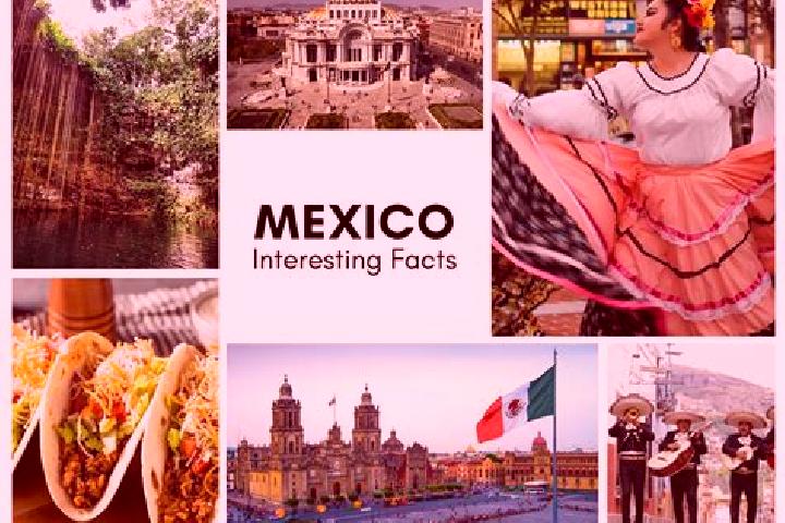 Stella, 28 — Escort in Texcaltepec, Mexico