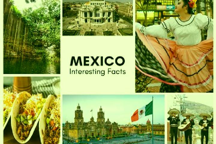 Stella, 29 — Escort in Alitze, Mexico