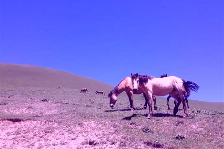 Stella, 29 — Escort in Batken, Kyrgyzstan