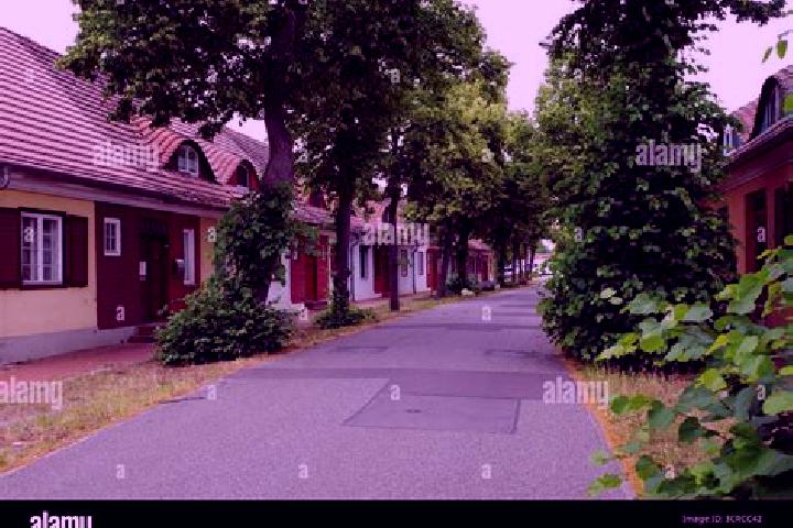 Stella, 29 — Escort in Plaue, Germany