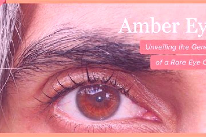 Stella, 30, a black amber-eyed caribbean companion based in Gambang. Offering Duos, CIM, Overnight, Couples, Striptease. Available for incall and outcall, ov...