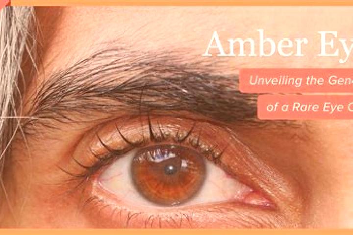 Stella, 30, a black amber-eyed european companion based in Niederaula. Offering Striptease, OWO, Roleplay, 69. Available for incall and outcall, overnight bo...