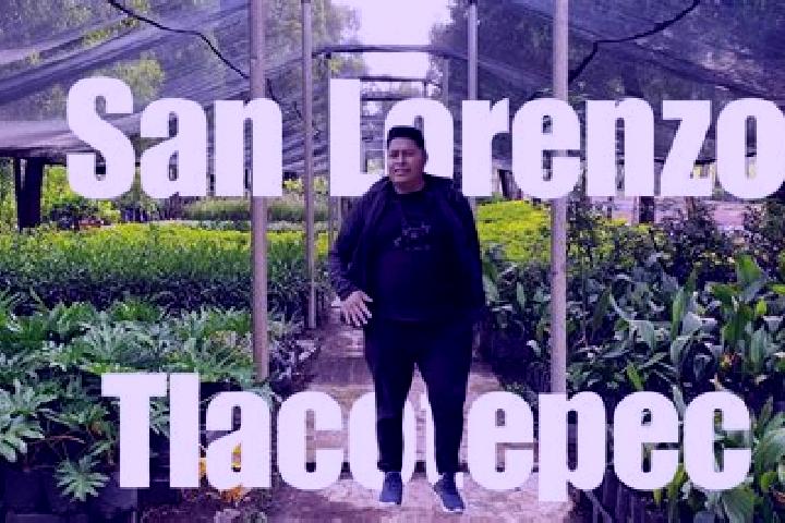 Stella, 30 — Escort in San Lorenzo Tlacotepec, Mexico
