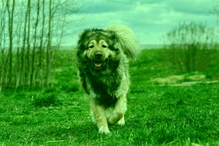 Stella, 31, a black grey-eyed caucasian companion based in St Morris. Offering GFE, 69, A-Level, Dinner Date. Available for incall and outcall, day and eveni...