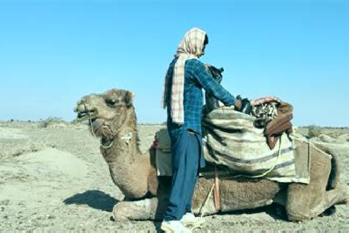 Stella, 31 — Escort in Dasht-e Qal ah, Afghanistan