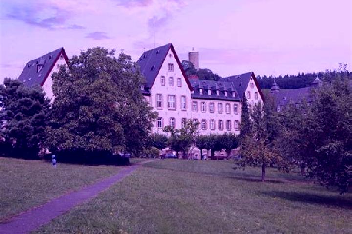 Stella, 31 — Escort in Kiedrich, Germany