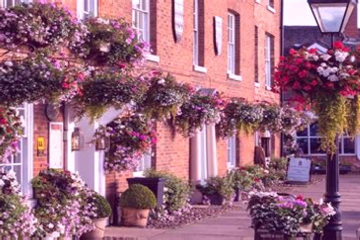 Stella, 31 — Escort in Market Bosworth, United Kingdom