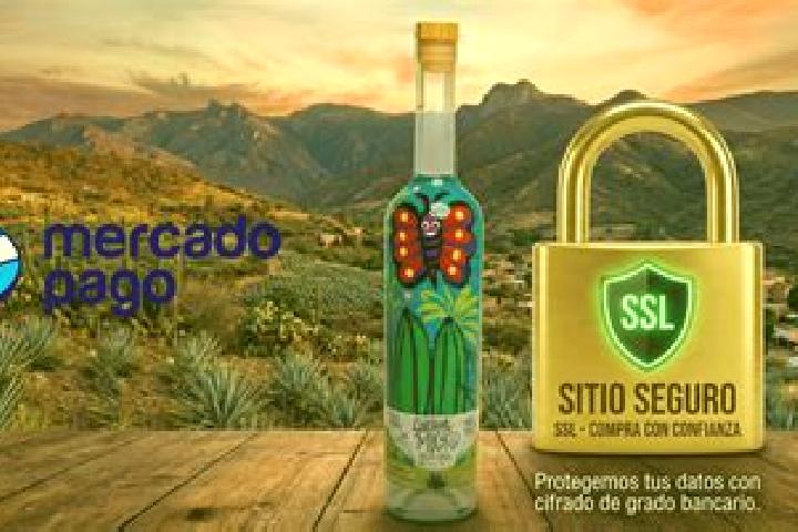 Stella, 31 — Escort in Mezcales, Mexico