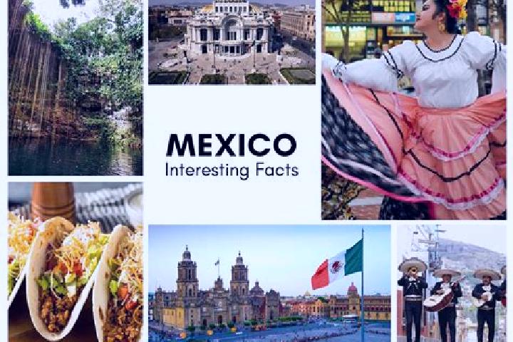 Stella, 31 — Escort in Ocampo, Mexico