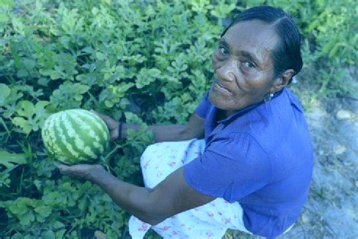 Stella, 31 — Escort in Palkaka, Honduras