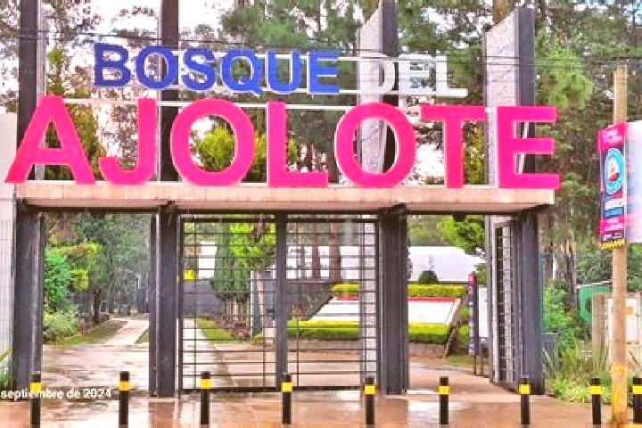 Stella, 31 — Escort in Santa Maria Xonacatepec, Mexico
