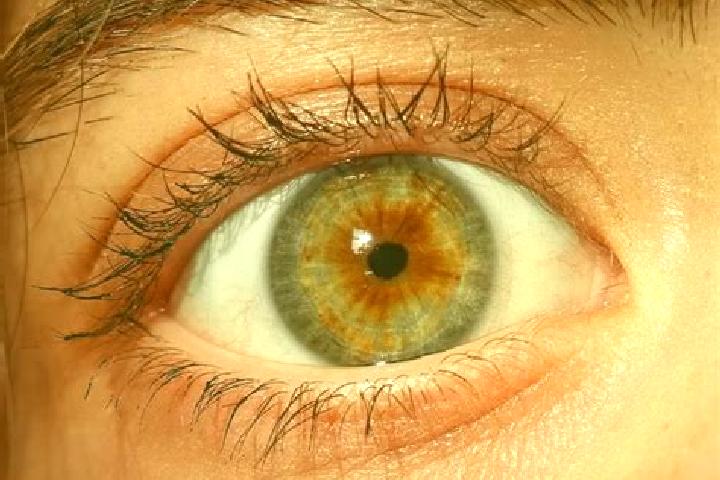 Stella, 32, a red hazel-eyed mediterranean companion based in Barehsar. Offering A-Level, CIM, Domination. Available for incall and outcall, day and evening ...