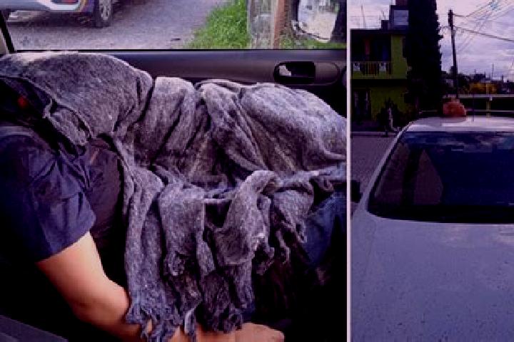 Stella, 32 — Escort in Alcalde Mayor, Mexico