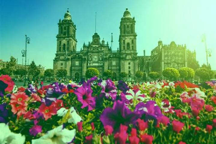 Stella, 32 — Escort in Ciudad Guerrero, Mexico