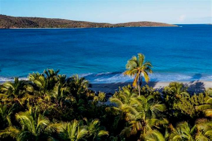 Stella, 32 — Escort in Culebra, Puerto Rico