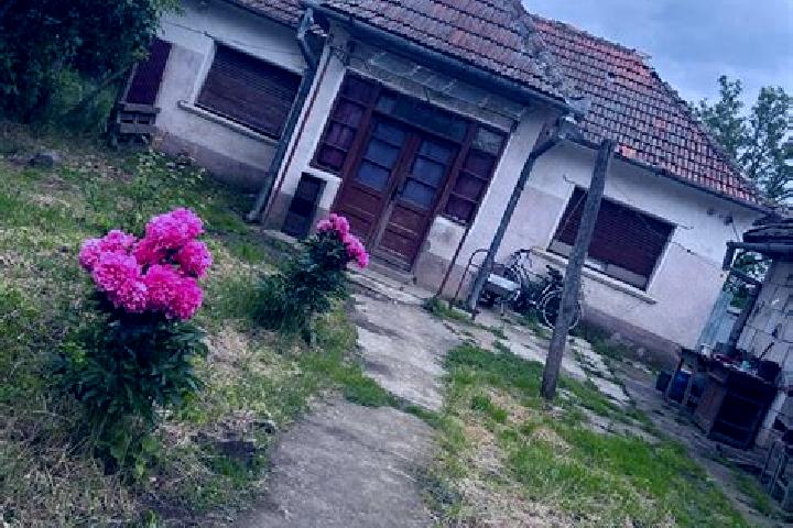 Stella, 32 — Escort in Ghiorac, Romania