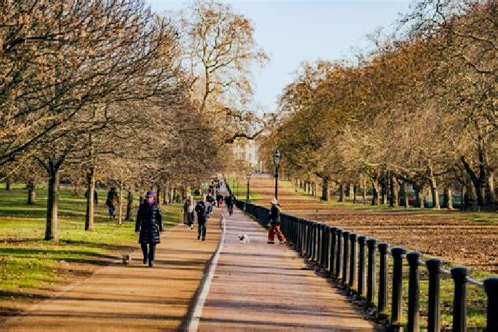 Stella, 32 — Escort in Hyde Park, United Kingdom