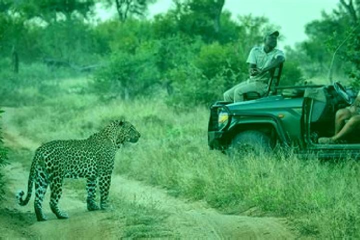 Stella, 32 — Escort in Sabi-Sand Game Reserve, South Africa