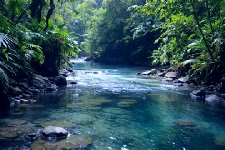 Stella, 33 — Escort in Agua Santa del Yuna, Dominican Republic