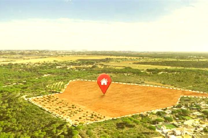 Stella, 33 — Escort in Ejido Tierra y Libertad Numero Dos, Mexico