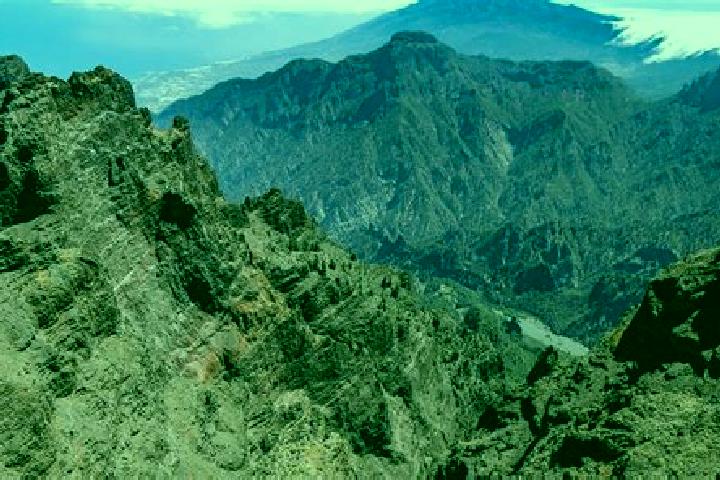Stella, 33 — Escort in La Palma, Mexico