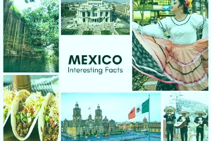 Stella, 33 — Escort in Pemucho, Mexico