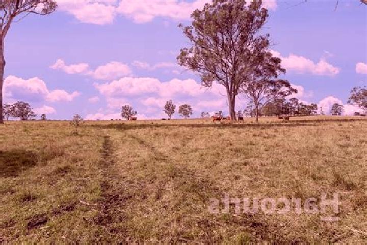 Stella, 33 — Escort in Pheasants Nest, Australia