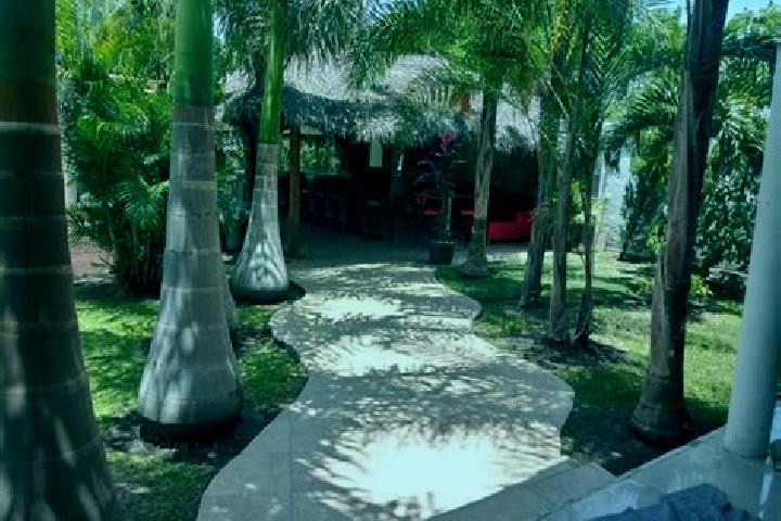 Stella, 33 — Escort in Tetecalita, Mexico