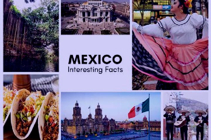 Stella, 34 — Escort in Apantlazol, Mexico