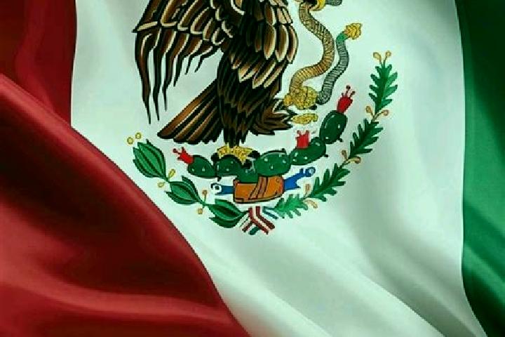 Stella, 34 — Escort in La Patria, Mexico