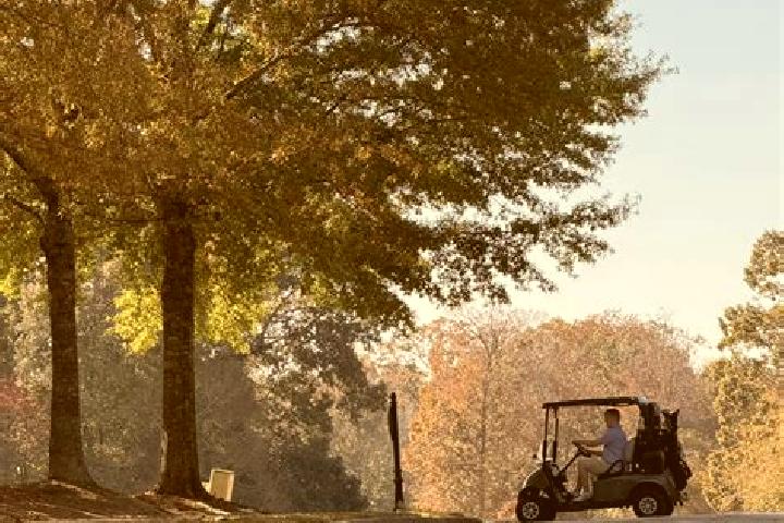 Stella, 34 — Escort in Moores Mill, United States