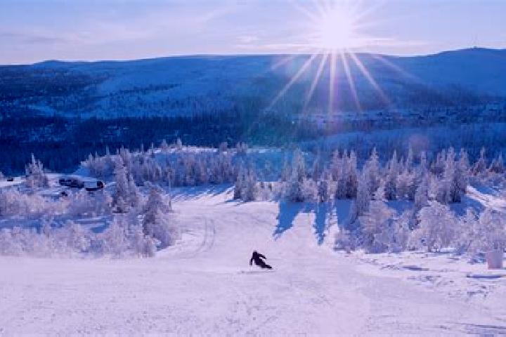 Stella, 34 — Escort in Vemdalen, Sweden