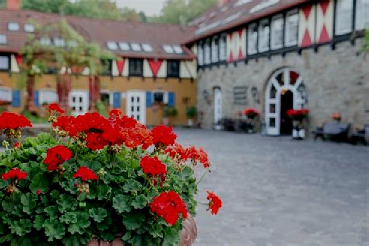 Stella, 35 — Escort in Kleinpaschleben, Germany