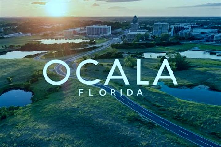 Stella, 35 — Escort in Ocala, United States