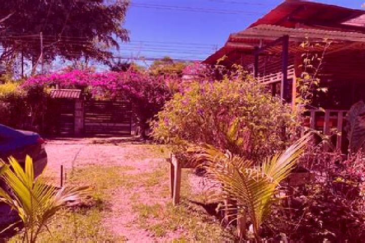 Stella, 35 — Escort in Sabalito, Costa Rica