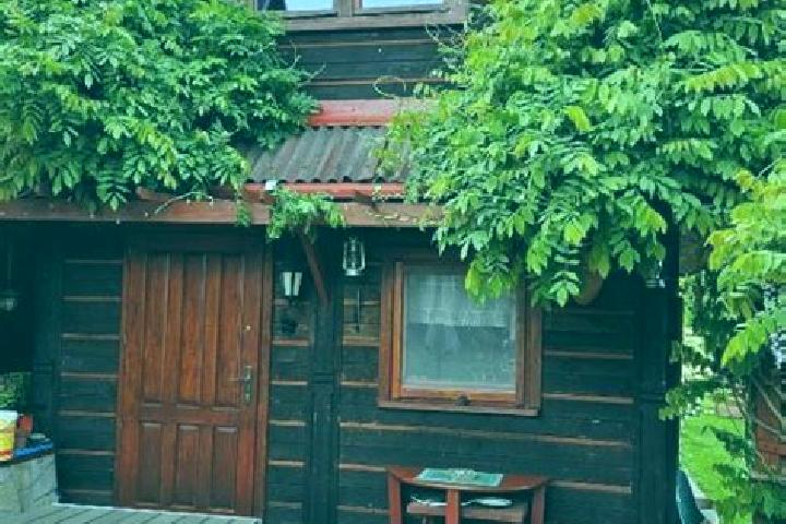 Stella, 35 — Escort in Sopotnia Wielka, Poland