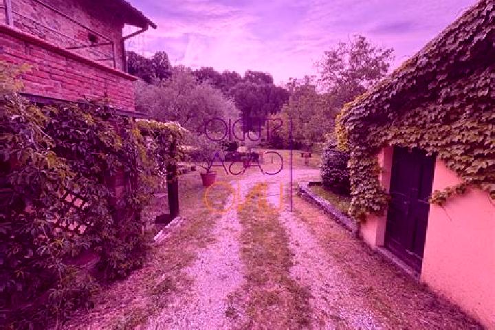 Stella, 35 — Escort in Terranuova Bracciolini, Italy
