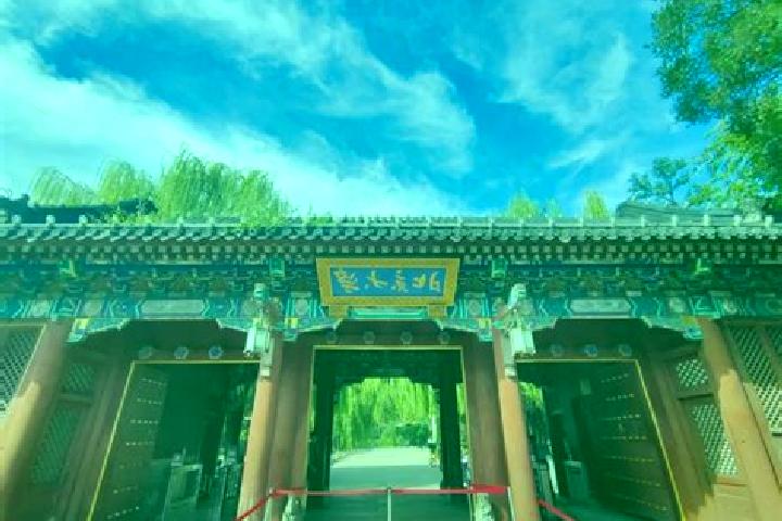 Stella, 35 — Escort in Yuanhua, China