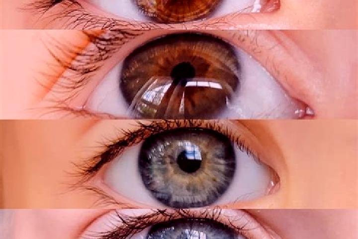 Stella, 36, a chestnut green-eyed middle eastern companion based in Macchiagodena. Offering Duos, Roleplay, Party Girl, OWO. Available for incall and outcall...