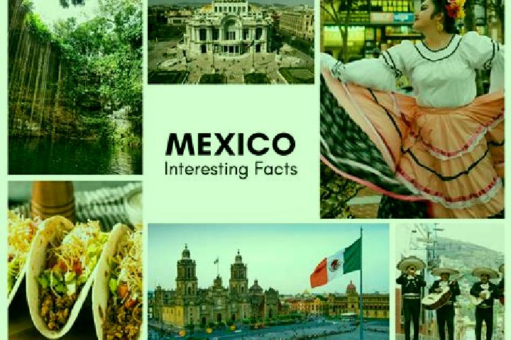 Stella, 36 — Escort in Canada Grande, Mexico