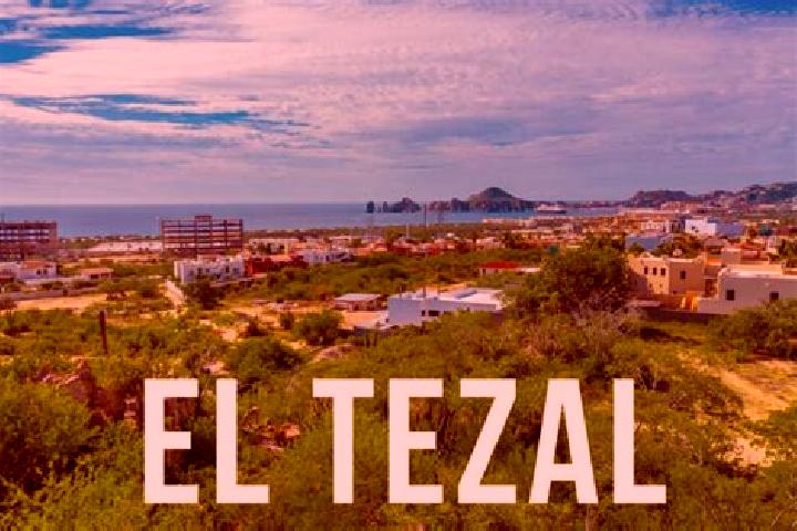 Stella, 36 — Escort in El Tezal, Mexico