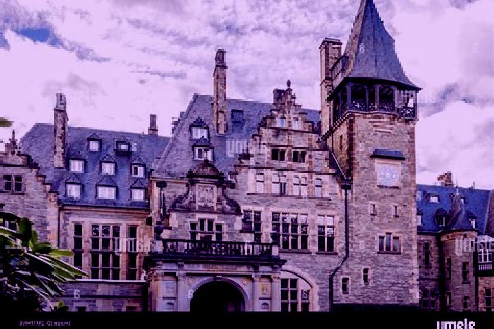 Stella, 36 — Escort in Kronberg, Germany
