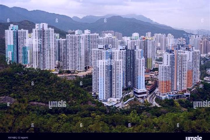 Stella, 36 — Escort in Shui Chuen O, Hong Kong