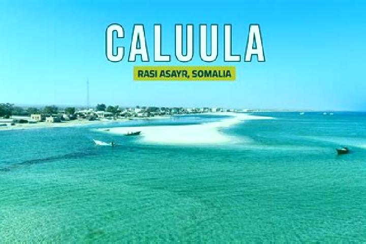 Stella, 37 — Escort in Caluula, Somalia