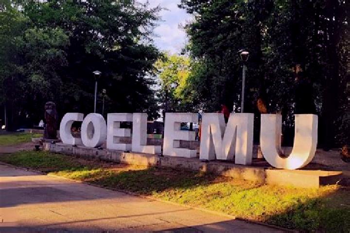 Stella, 37 — Escort in Coelemu, Chile