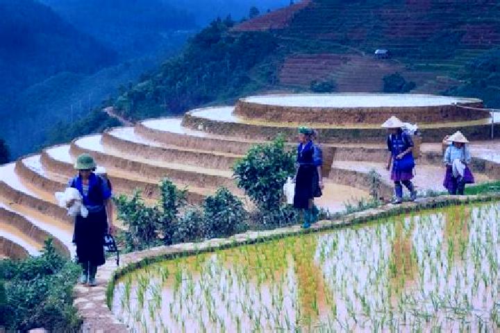 Stella, 37 — Escort in Huu Lung, Vietnam