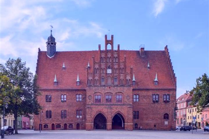 Stella, 37 — Escort in Jueterbog, Germany