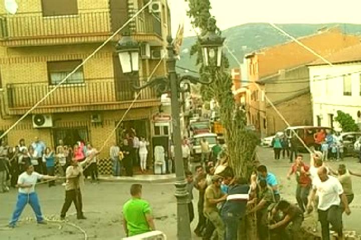 Stella, 37 — Escort in Puebla de Don Rodrigo, Spain