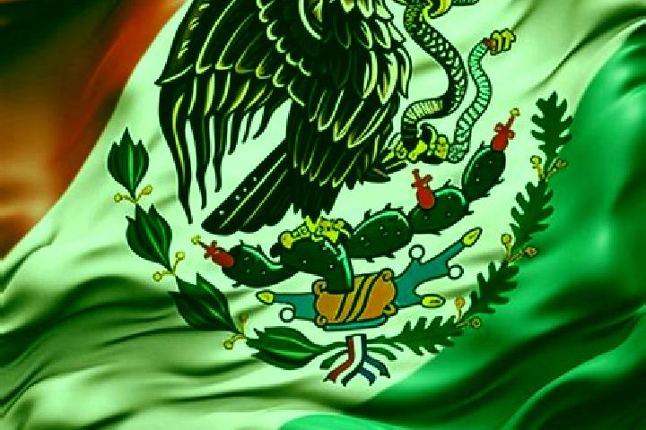 Stella, 37 — Escort in Yitic, Mexico