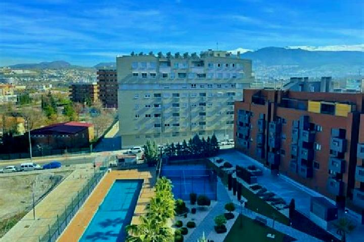 Stella, 37 — Escort in Zaidin, Spain